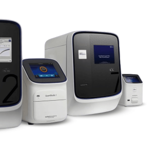 Real-Time PCR's